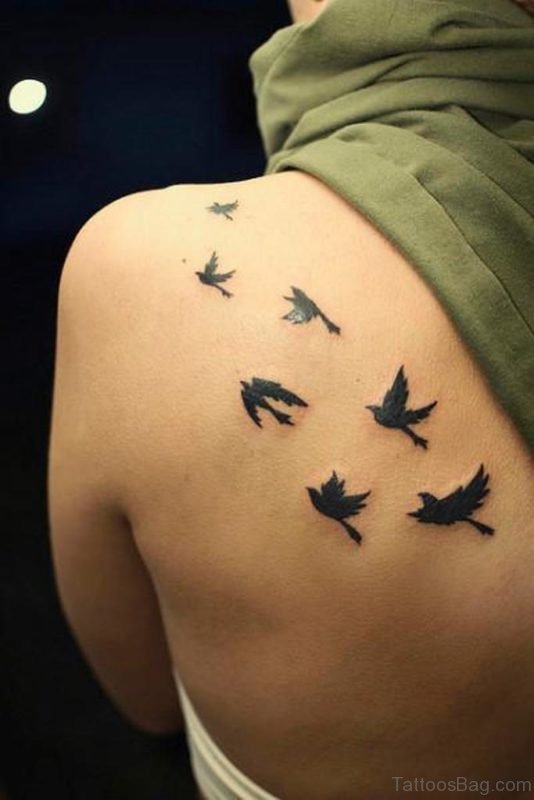 Seven Black  Bird Tattoo