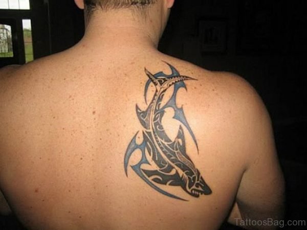 Shark Tattoo On Back