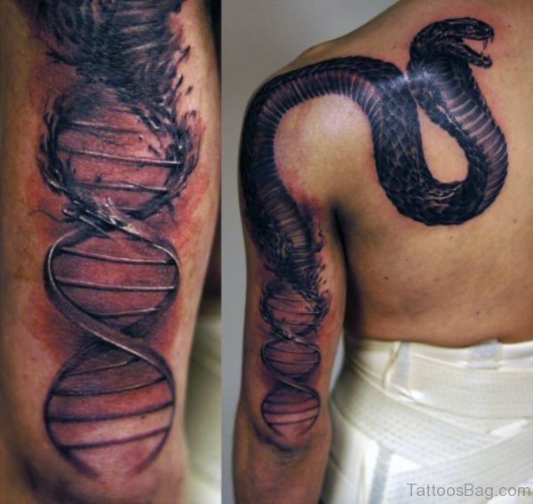 Impressive Snake Tattoo On  Back