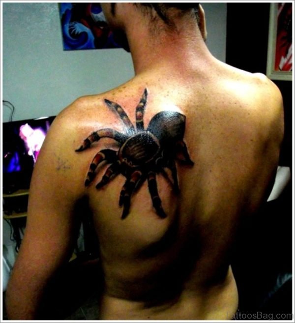 Spider Tattoo Design 