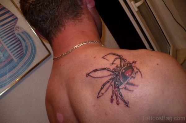 Spider Tattoo On Man Right Back-TB159