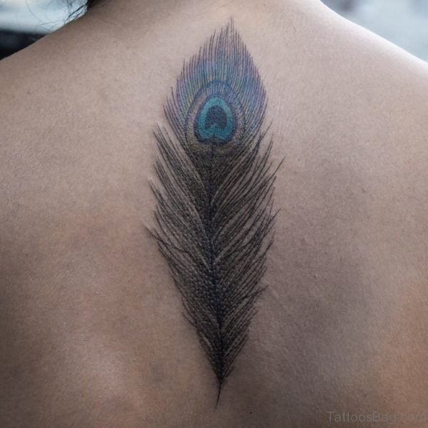 Stunning Peacock Feather Tattoo 