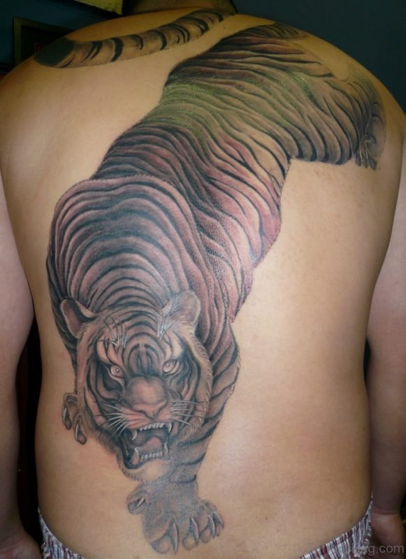 Stunning Tiger Tattoo