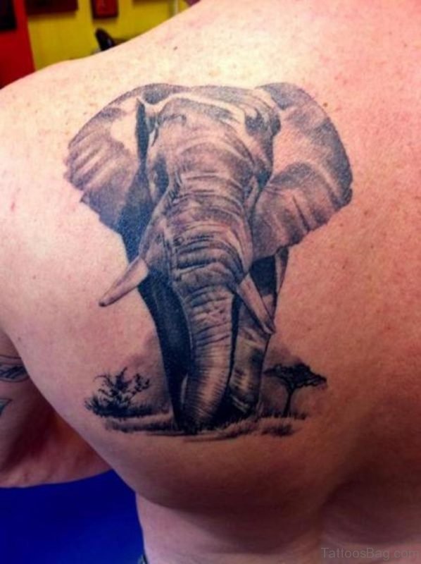 Sweet Elephant Tattoo On Back Shoulder