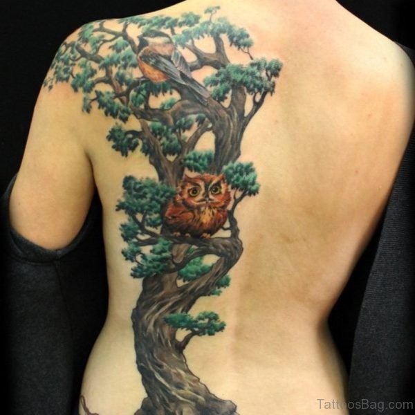 Tree And Owl Tattoo On Back