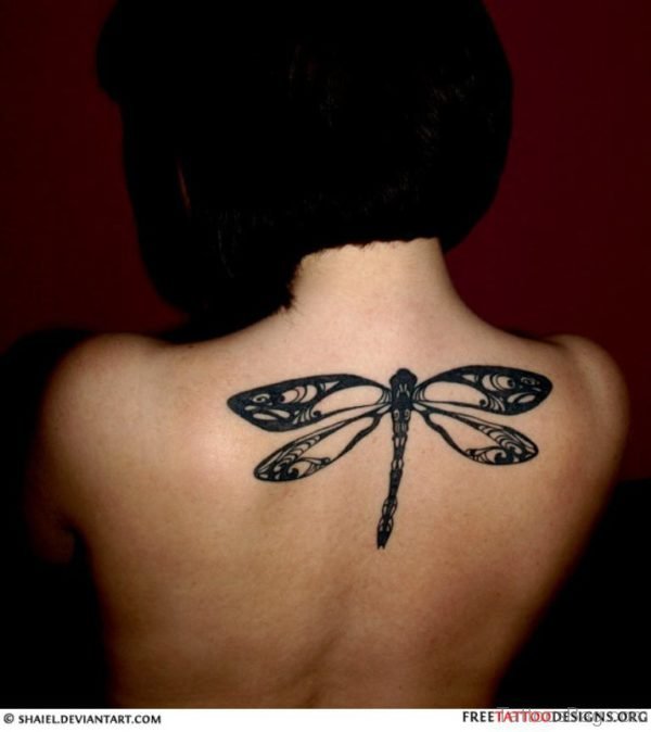 Tribal   Dragonfly Tattoo