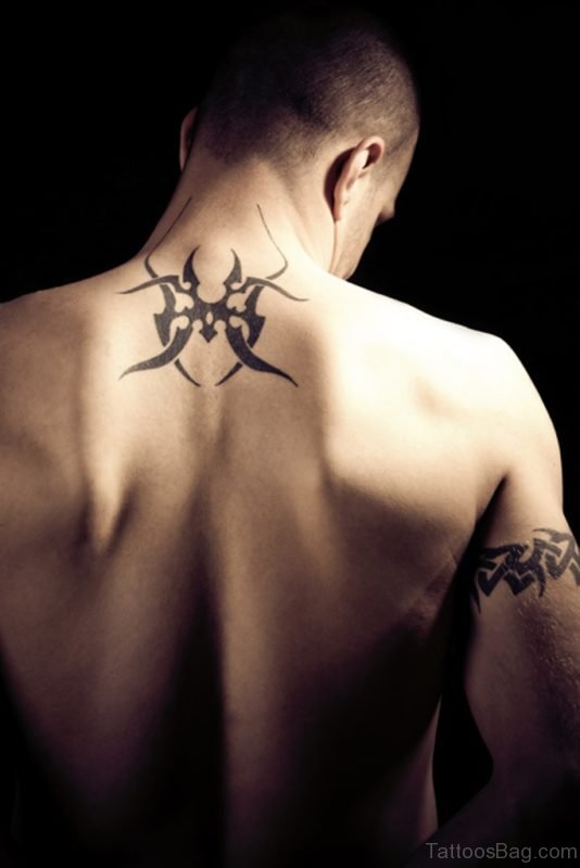 Tribal Spider Tattoo On Back