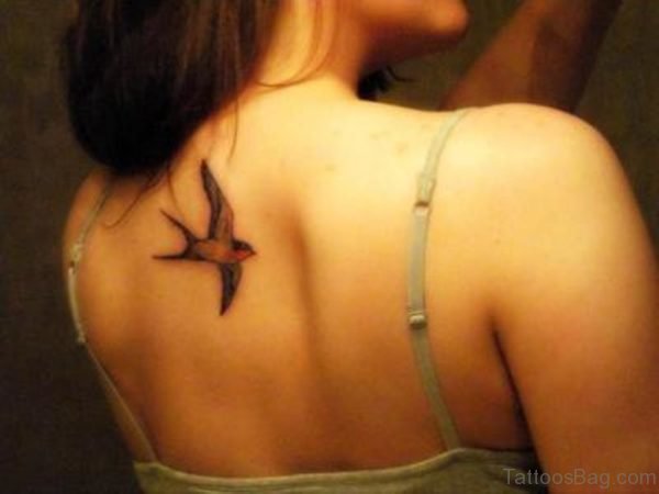 Swallow Bird Tattoo Design