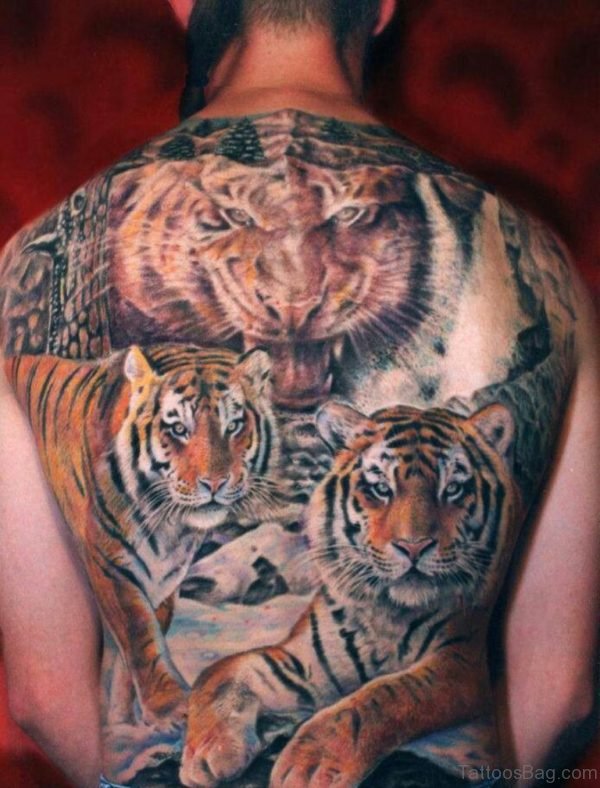Wild Tiger Tattoo