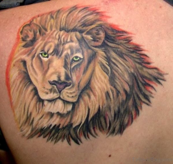Wonderful Lion Tattoo On Shoulder Back