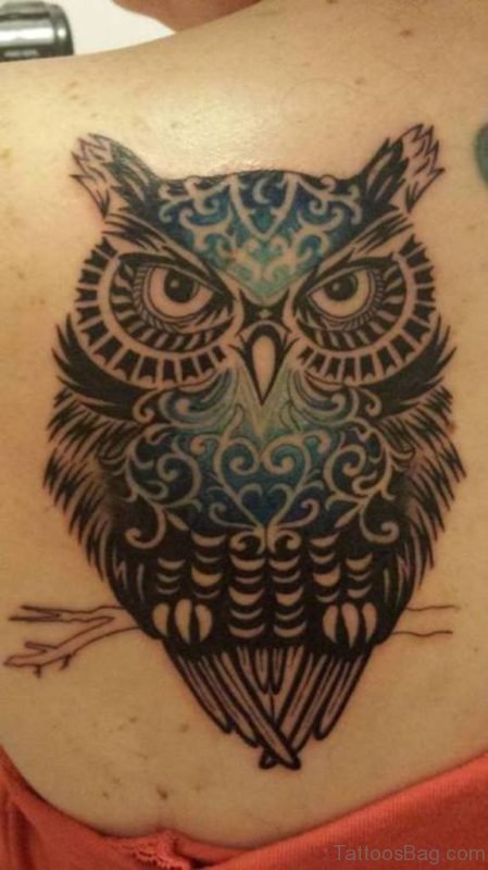 Wonderful Owl Tattoo