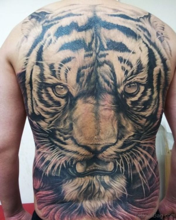 Wonderful Tiger Tattoo On Back