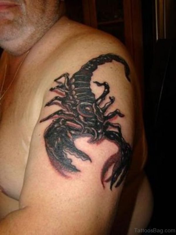 Zodic Scorpio Tattoo Design-st46127-zst1127