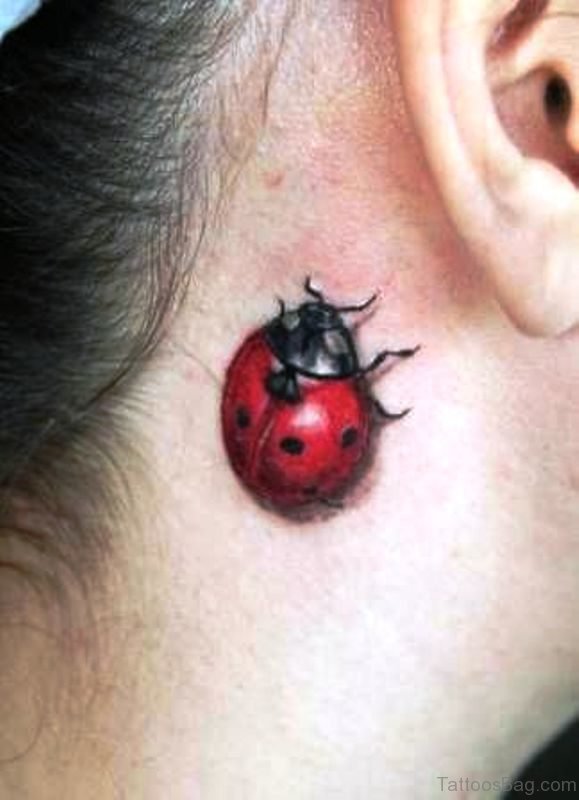 Adorable Ladybug Tattoo Behind Ear 