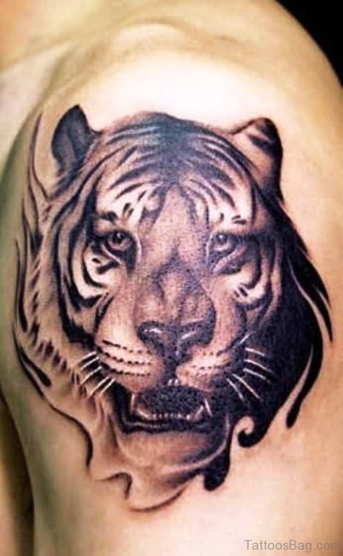 Amazing Tiger Tattoo On Left Shoulder 