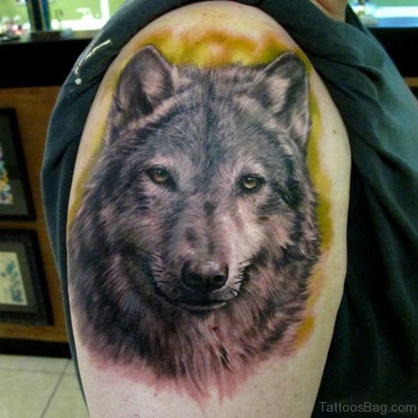 Amazing Wolf Tattoo 