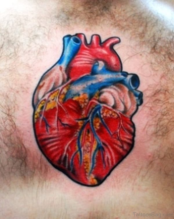 Anatomical Human Heart Tattoo On Chest
