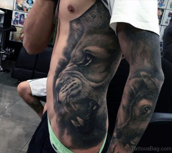 Attractive Lion Tattoo 