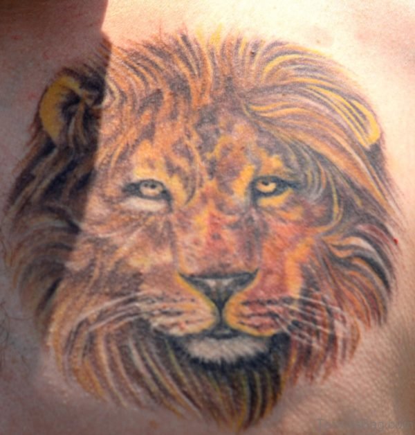 Awesome Colored Lion Head Tattoo On Chest