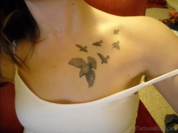 Birds Tattoo On Girl Chest