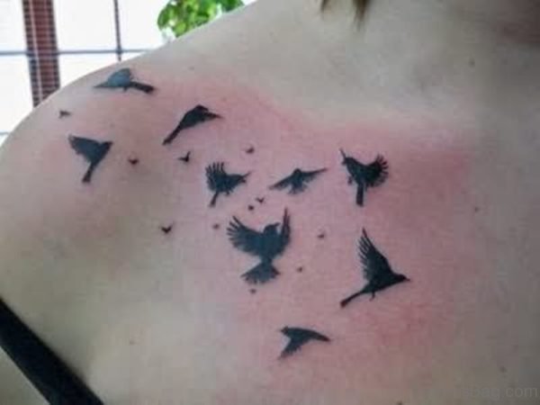 Black Birds Tattoo Design On Chest