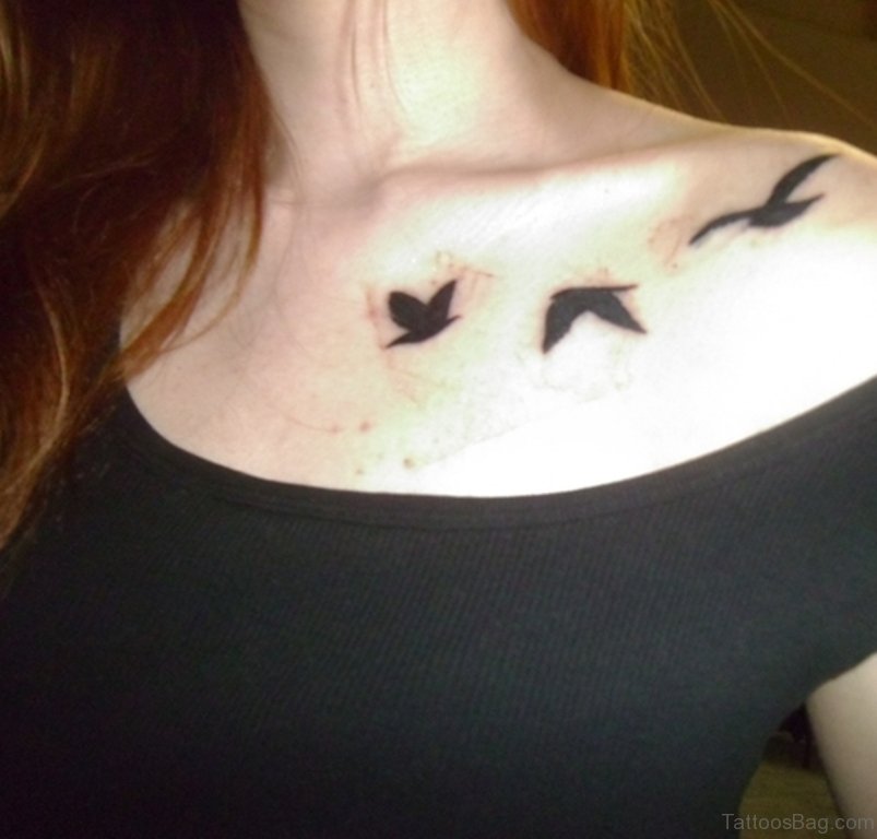 Fabulous Birds Tattoos On Chest