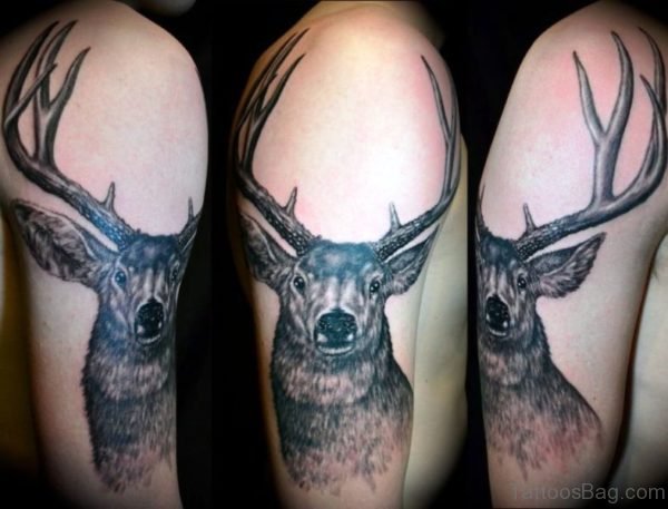 Black Buck Tattoo On Shoulder
