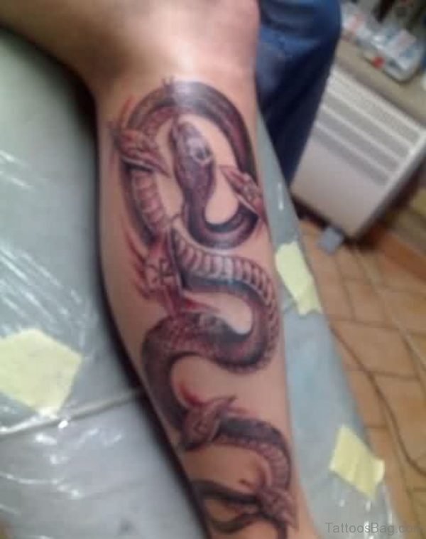 Brown Snake Tattoo