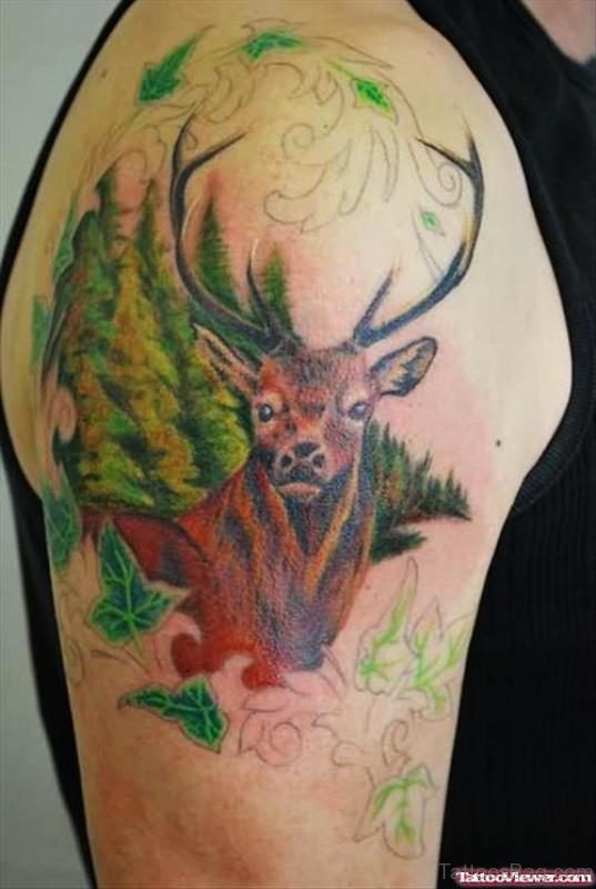 Buck Tattoo On Shoulder Pic