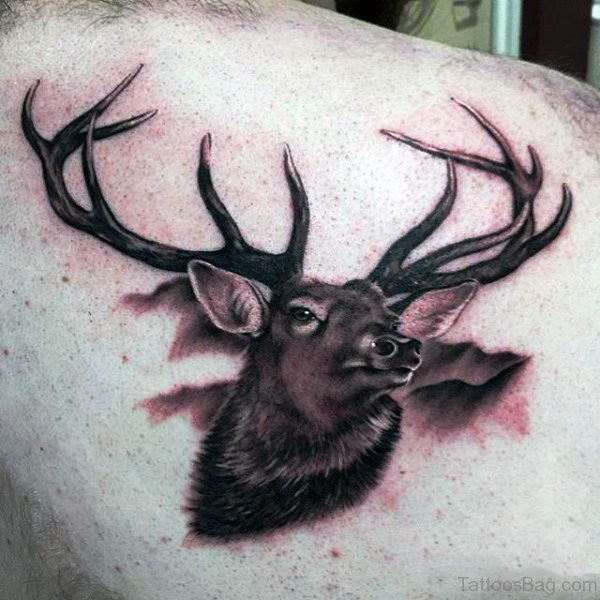 Classic Buck Tattoo On Back Shoulder
