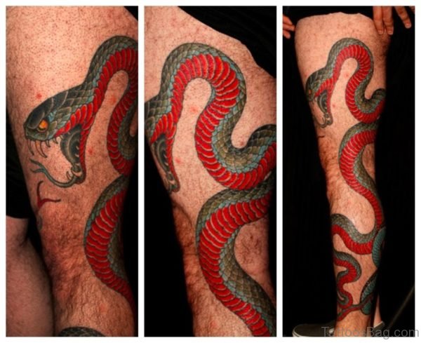 Classy Snake Tattoo 