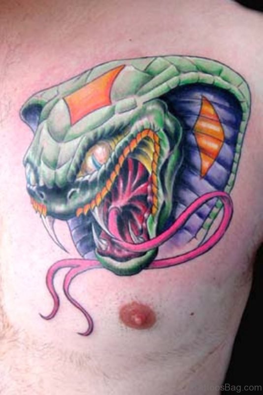 Colored Ink Snake Tattoo