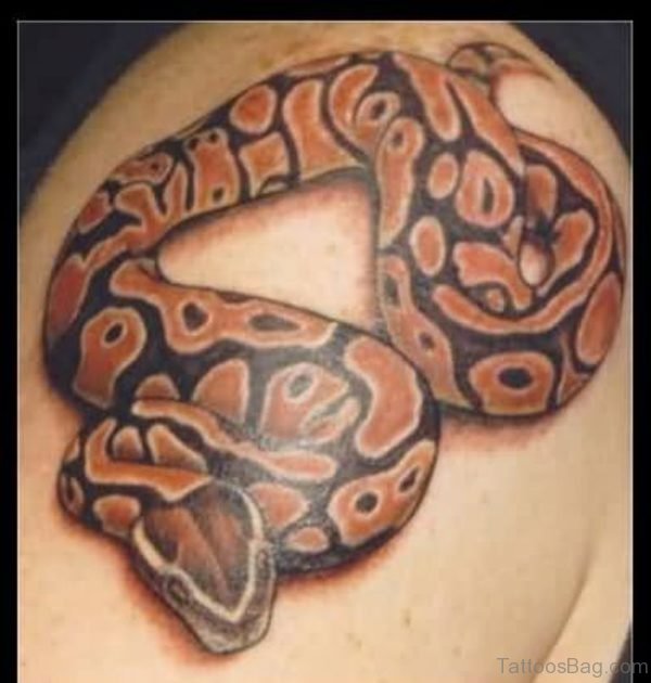 Colored Snake Tattoo On Shoulder