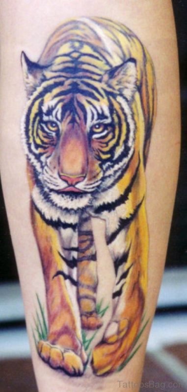 Colored Tiger Tattoo Design