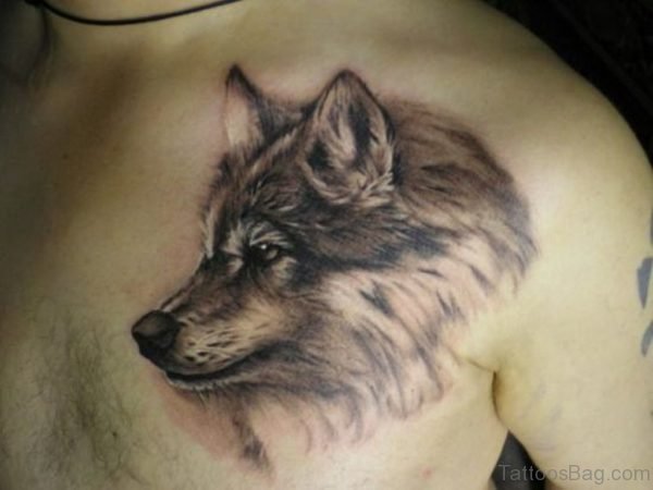 Cute Grey Ink Wolf Head Tattoo On Man Chest