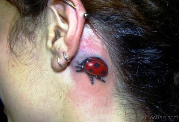 Dazzling Ladybug Tattoo Behind Ear 