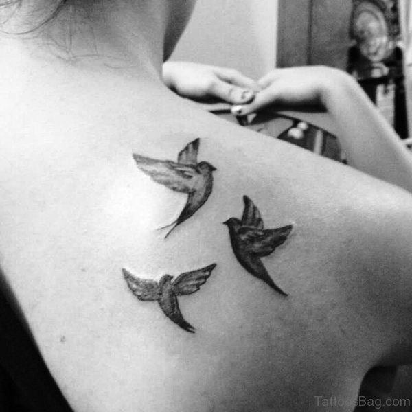 Dove Tattoo On Shoulder