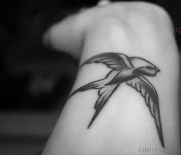 Grey Ink Swallow Tattoo