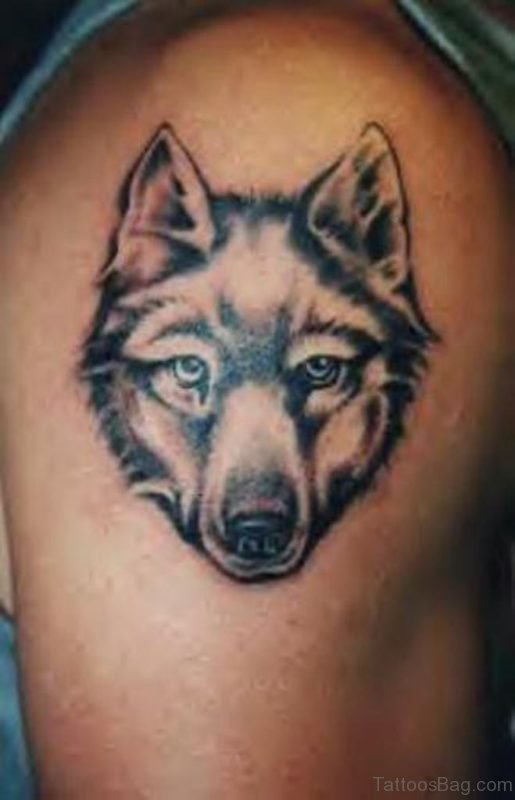 Grey Ink Wolf Tattoo On Right Shoulder