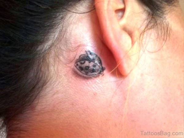 Grey Ladybug Tattoo Behind Ear 