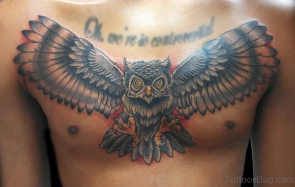 Grey Owl Tattoo On Chest