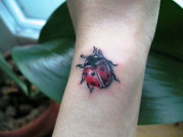 Impressive Ladybug Wrist Tattoo 