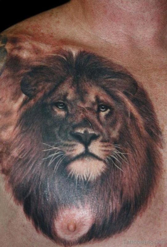 Good looking Lion Tattoo