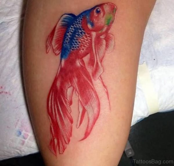 Lovely Fish Tattoo 