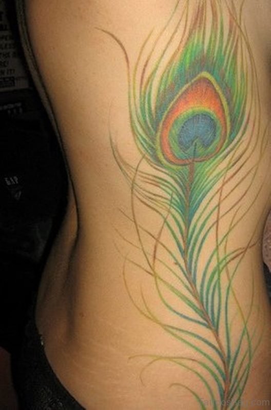 Lovely Peacock Feather Tattoo On Rib