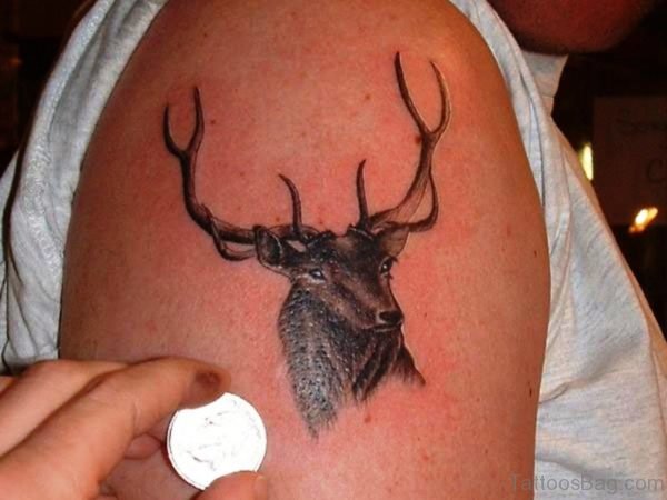 Mind Blowing Buck Tattoo On Shoulder
