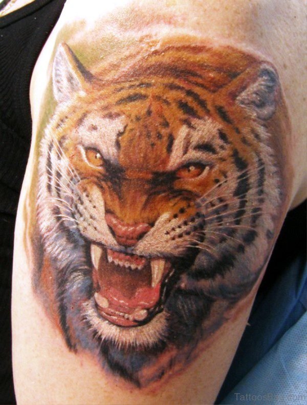 Nice Angry Tiger Tattoo 