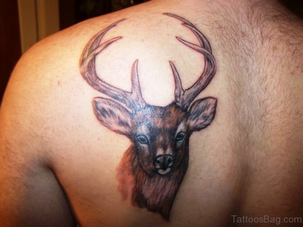 Outstanding Buck Tattoo On Shoulder