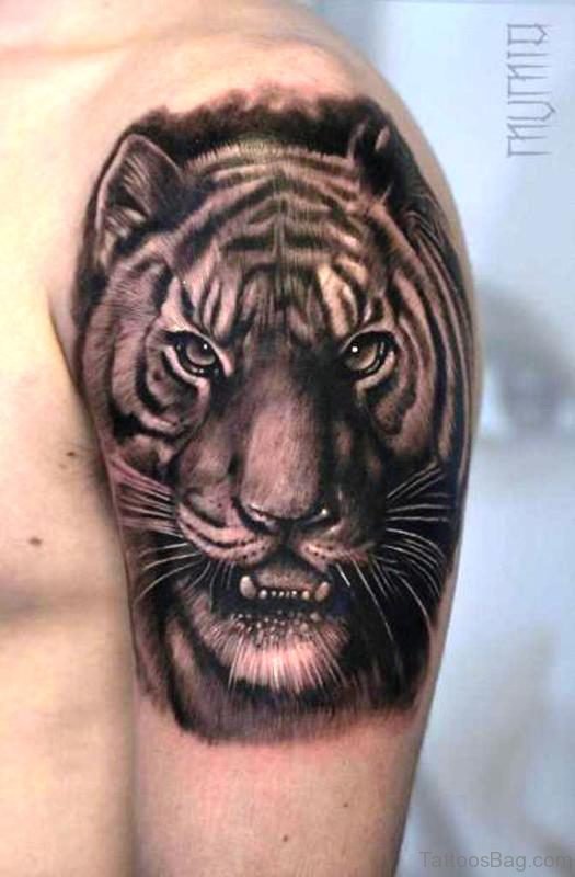 Outstanding Tiger Tattoo