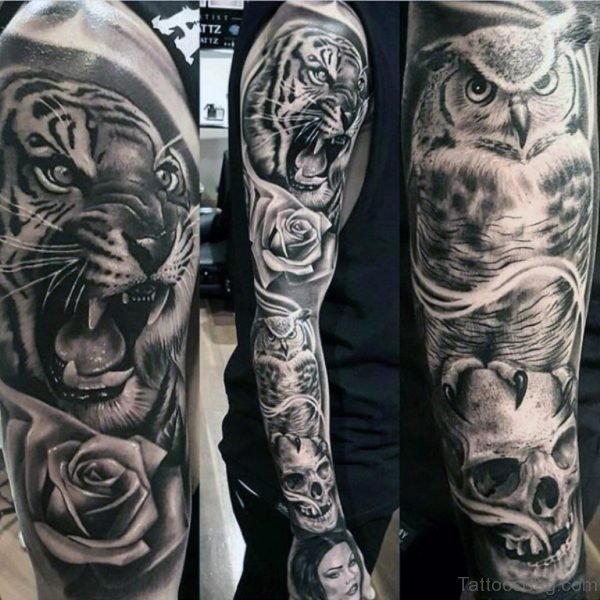 Owl And Tiger Tattoo Designs